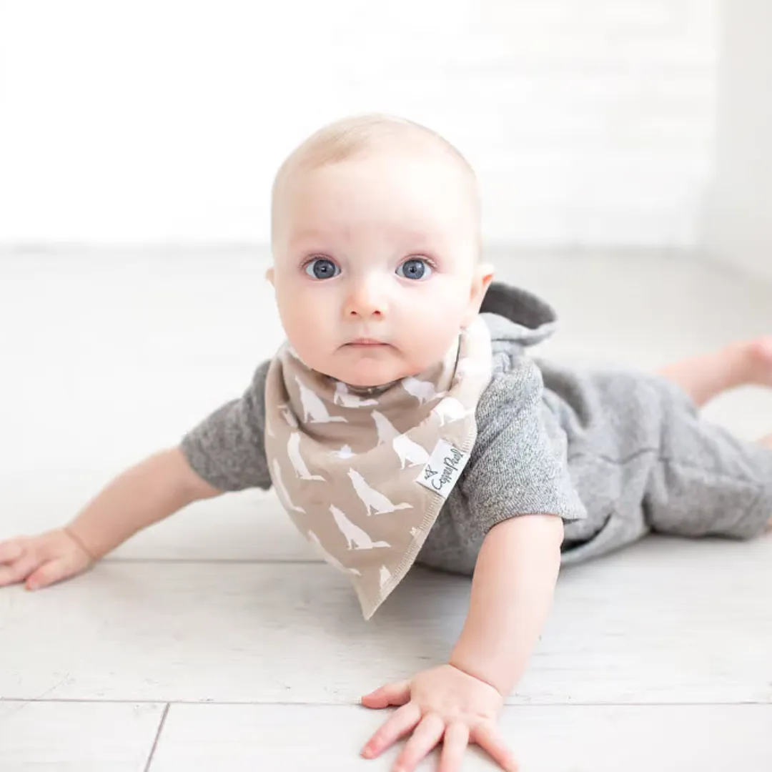 Copper Pearl Bandana Bibs / Phoenix