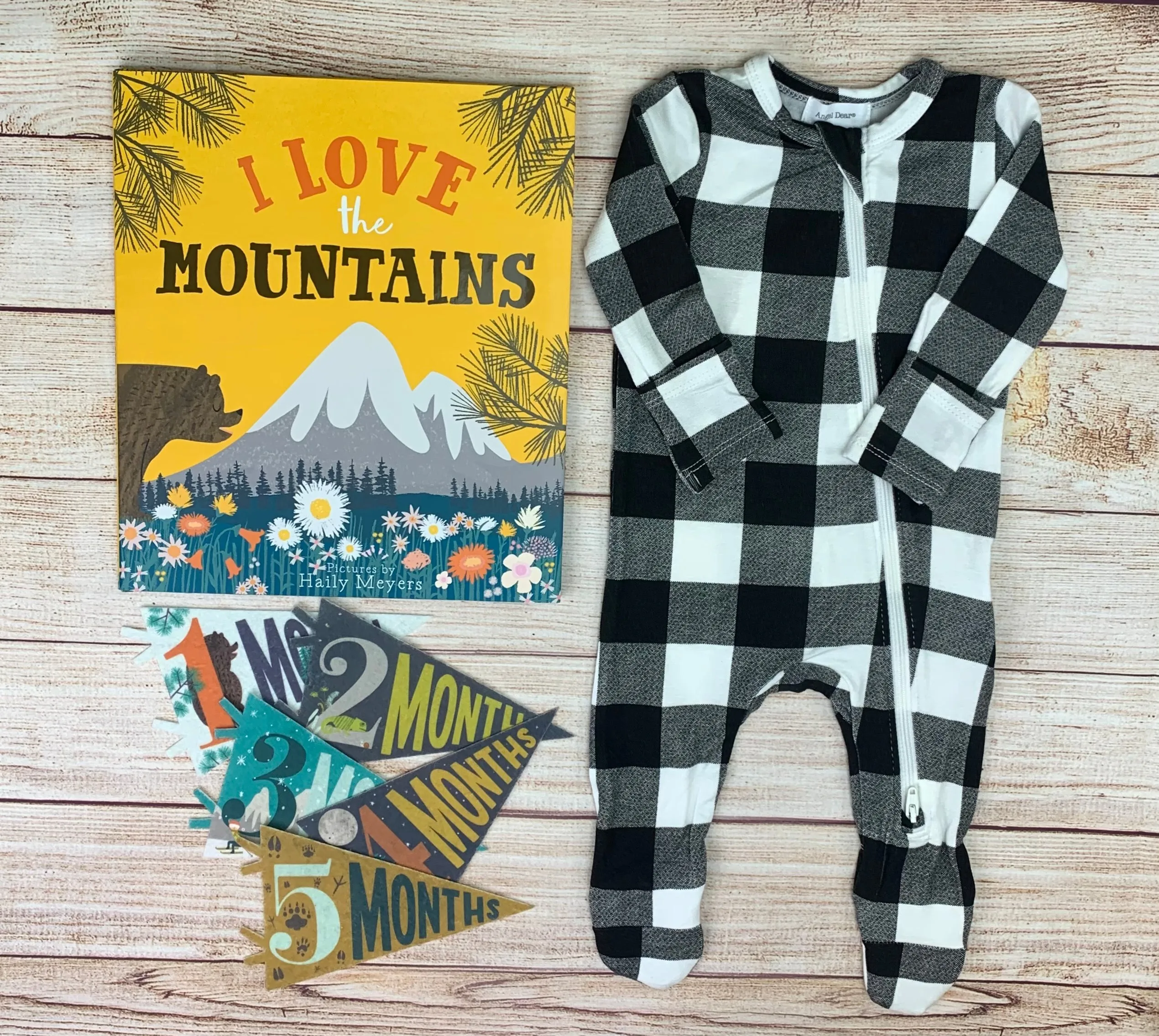 I Love The Mountains Book