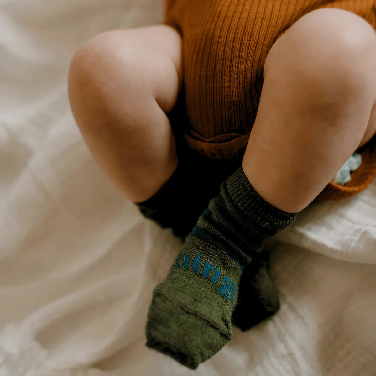 Lamington Socks (Crew - Bandit)