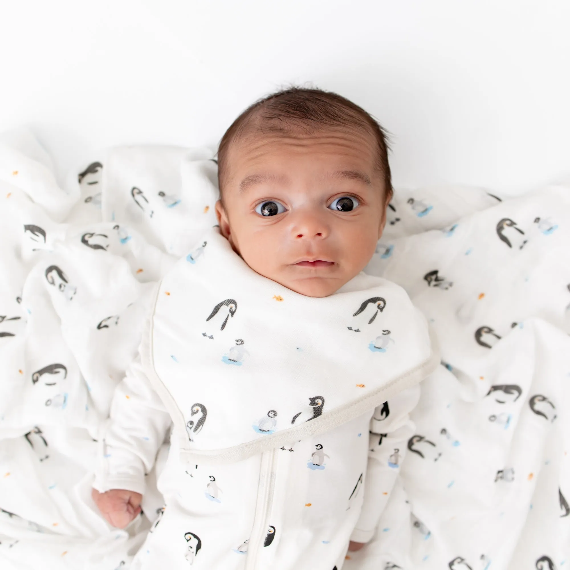 Penguin Bib Set