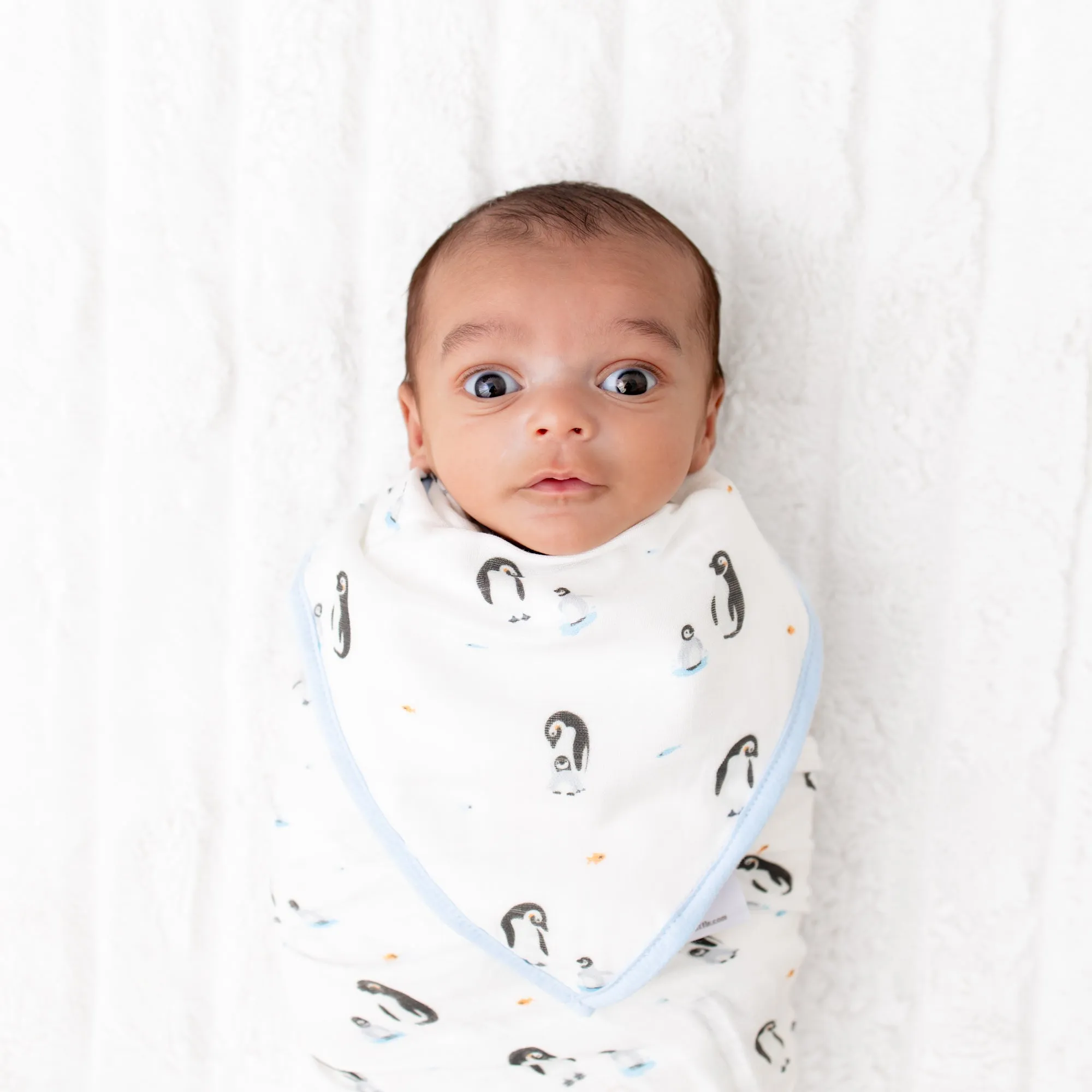 Penguin Bib Set